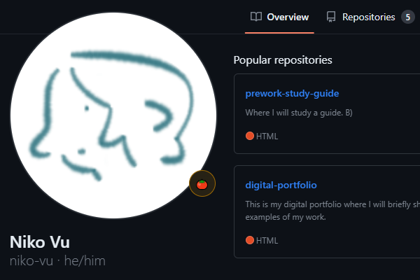 Niko Vu's GitHub profile page showing his icon, pronouns, and popular repositories.